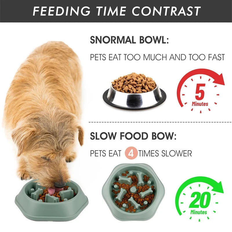 Fun Slow Feeder for Dogs
