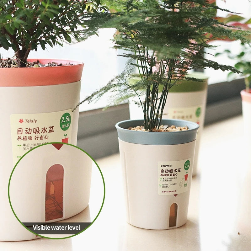 Easy Care Hydroponic Flower Pot