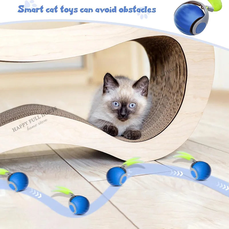 Whisker Wonder Cat Ball