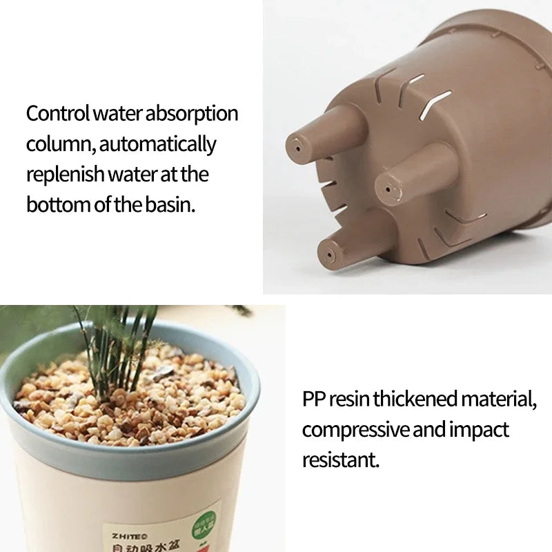 Easy Care Hydroponic Flower Pot