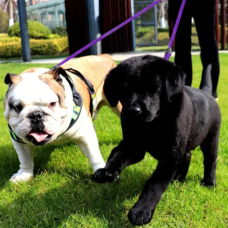 Tangle-Free Double Dog Leash