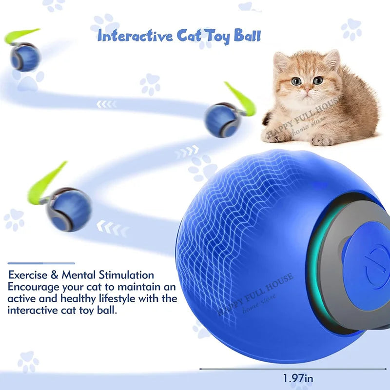 Whisker Wonder Cat Ball