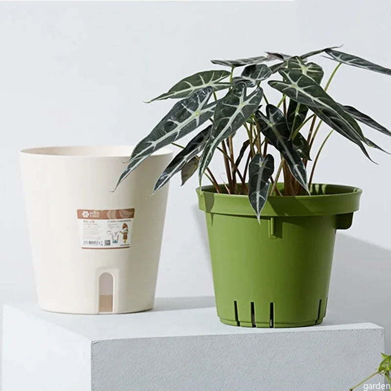 Easy Care Hydroponic Flower Pot