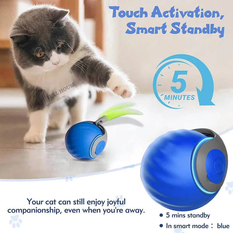 Whisker Wonder Cat Ball