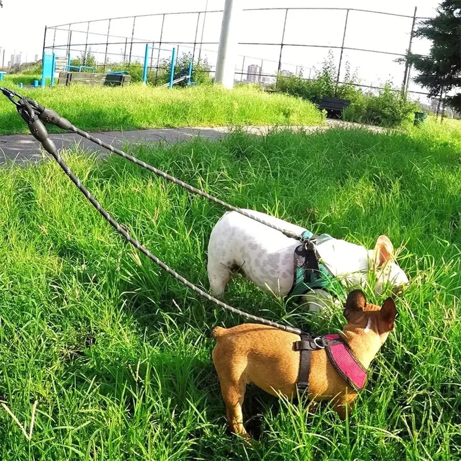 Tangle-Free Double Dog Leash