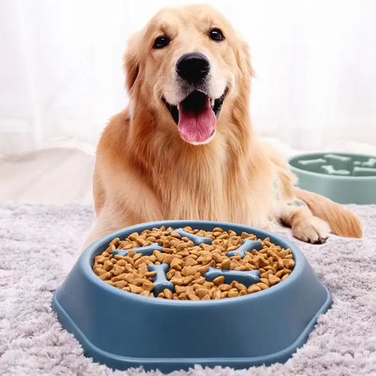 Fun Slow Feeder for Dogs