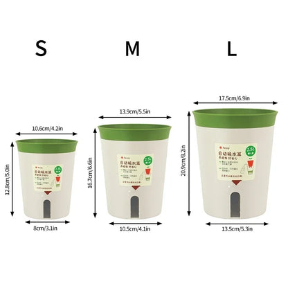 Easy Care Hydroponic Flower Pot
