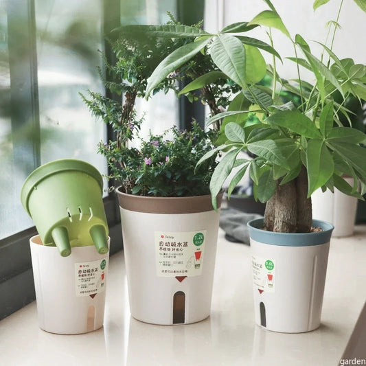 Easy Care Hydroponic Flower Pot