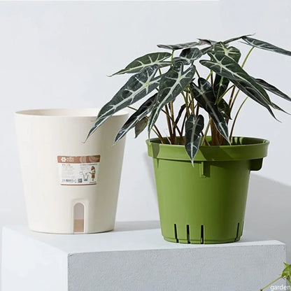 Easy Care Hydroponic Flower Pot
