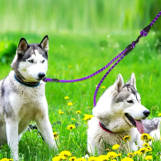 Tangle-Free Double Dog Leash